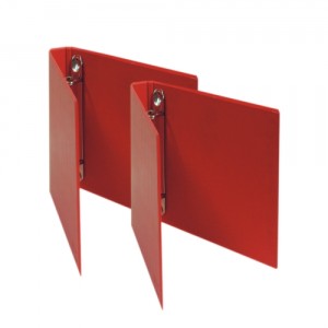 Caiet A4,Standard,  2 inele