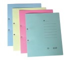 Dosar din carton cu capse, 1/1 A4, color