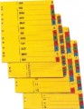 Index carton 10 culori/set